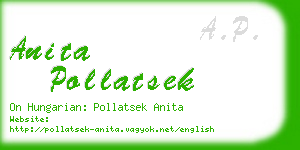 anita pollatsek business card